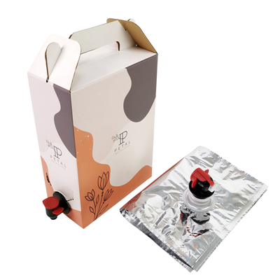 1L / 2L / 3L hộp cà phê tùy chỉnh túi cà phê dùng một lần trong hộp với máy phân phối van