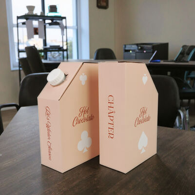 ISO SGS chứng nhận túi trong hộp tùy chỉnh in hình vuông hình chữ nhật đóng gói cung cấp và an toàn chất lỏng lưu trữ giải pháp